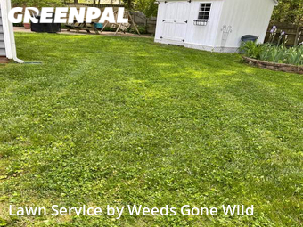 Lawn Care nearby Richmond, VA, 