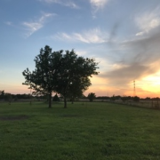 local-lawn-and-landscape-maintenance-services-near-me-in-Sperry-OK