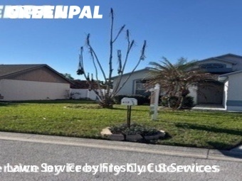 Lawn Mow nearby Lakeland, FL, 