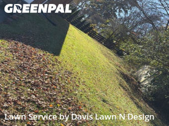 Yard Care Services in Knoxville, 37919, Lawn Upkeep by Davis Lawn N Design, work completed in Nov , 2025