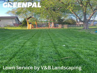 Lawn Maintenance nearby Schaumburg, IL, 