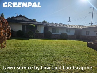 Work completed by the-yard-cutting-businesses-in-Fresno-CA