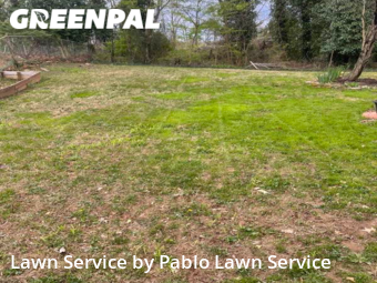Lawn Service nearby Springfield, VA, 