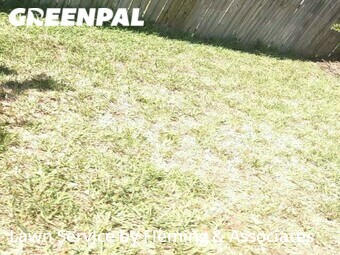 Grass Cut nearby Jacksonville, FL, 