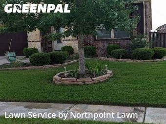 Yard Cutting nearby Wylie, TX, 