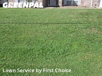 Grass Cutting nearby Palm Coast, FL, 