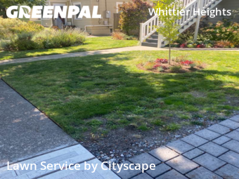Lawn Mowing Service nearby Seattle, WA, 