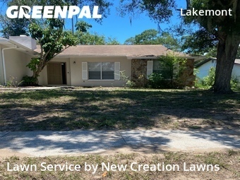 Lawn Cutting nearby Valrico, FL, 