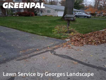 Yard Services in Toledo, 43623, Grass Care by Georges Landscape , work completed in Nov , 2025