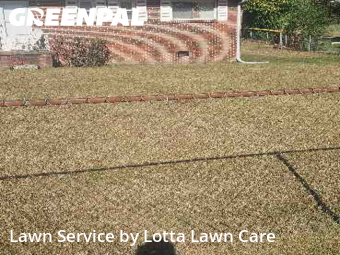 Commercial Landscaping In Chattanooga,37416,Landscaping Cleanup by Lotta Lawn Care, work completed in Oct , 2025