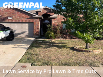 Lawn Cut nearby Fort Worth, TX, 