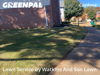 Garden Trimming in Cordova, 38018, Yard Management by Watkins And Son Lawn, work completed in Dec , 2025