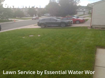 Lawn Care Service nearby Colorado Springs, CO, 