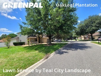 Lawn Cut nearby Orange Park, FL, 
