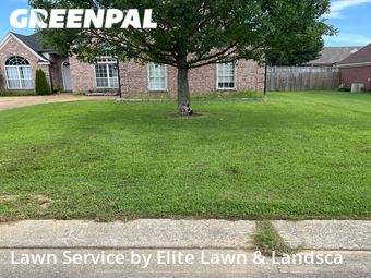 Lawn Mowing nearby Southaven, MS, 