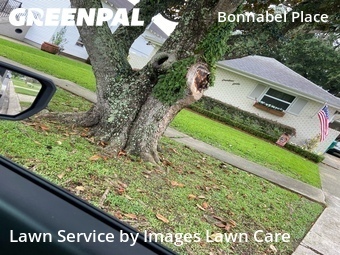 Grass Cut nearby Metairie, LA, 