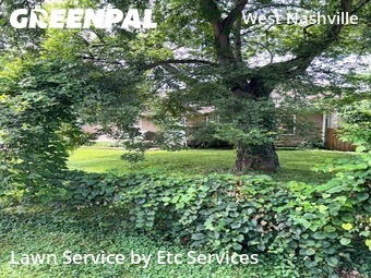 Lawn Care Service nearby Tn, TN, 