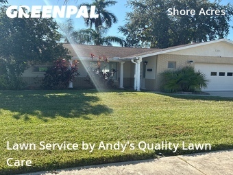 Lawn Service nearby St. Petersburg, FL, 