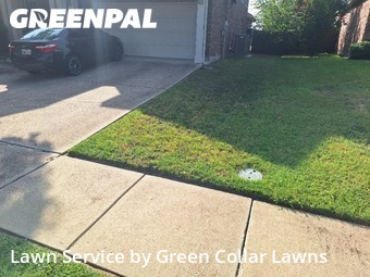 Lawn Mow nearby Grand Prairie, TX, 