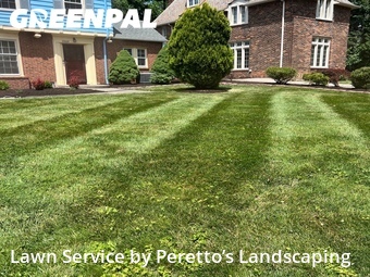 Grass Cut nearby Shaker Heights, OH, 