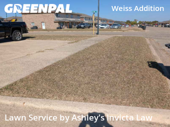 Landscaping Installation Killeen,76549,Landscaping Renovation by Ashley's Invicta Law, work completed in Nov , 2025