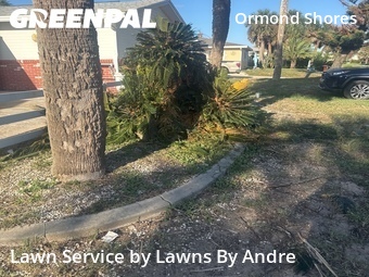 Yard Cutting nearby Ormond Beach, FL, 