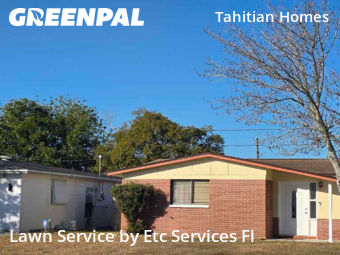 Lawn mowed in Holiday, 34691