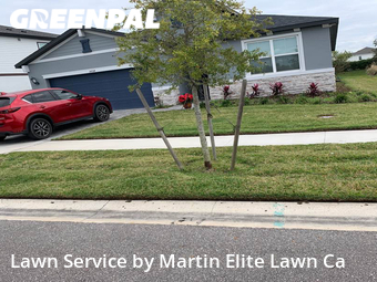 Lawn Care Service nearby Zephyrhills, FL, 
