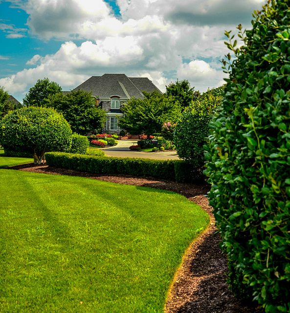 Homeowners Guide: Planning a Successful Landscape Design 