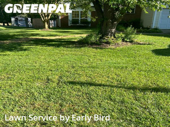 Lawn Care nearby Mint Hill, NC, 