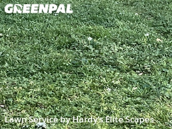 Lawn Cut nearby Hendersonville, TN, 