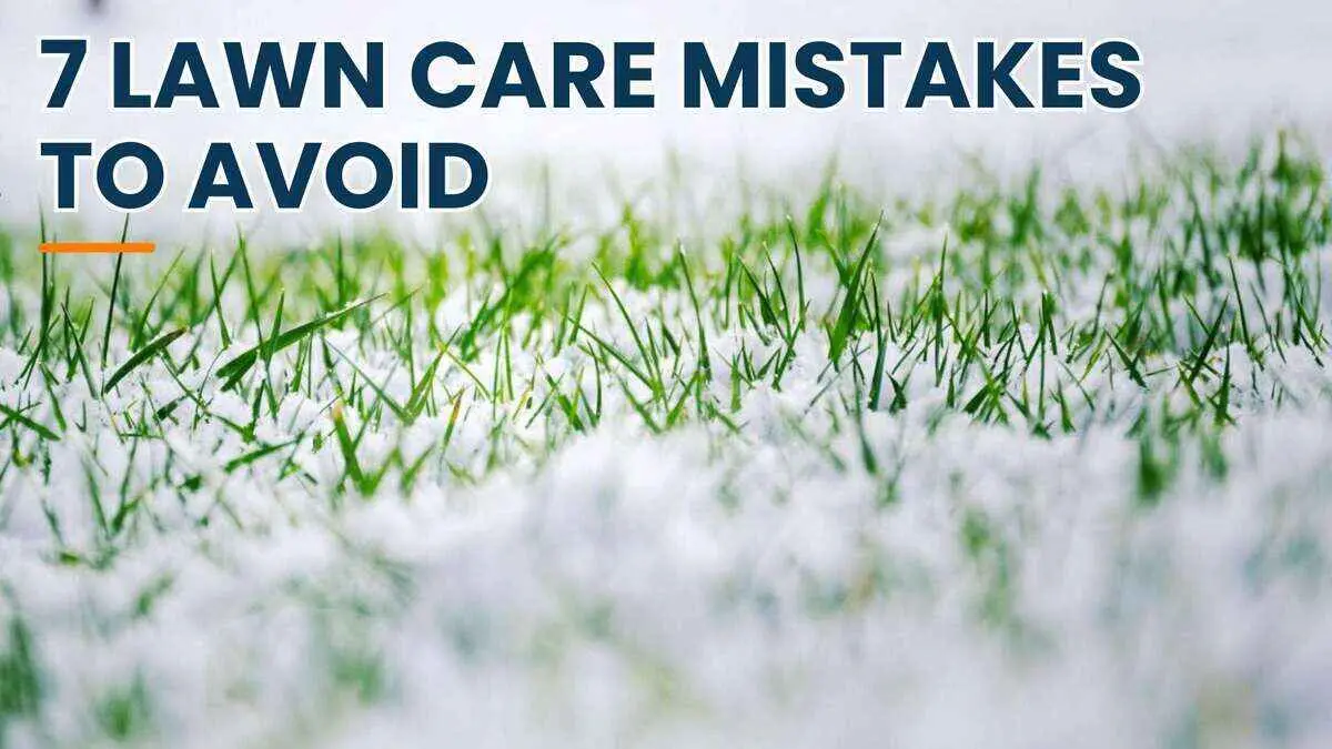 7 Fall/Winter Lawn Care Mistakes to Avoid