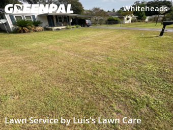 Lawn Cut nearby Pensacola, FL, 