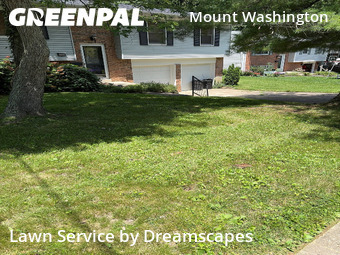 Grass Cutting nearby Cincinnati, OH, 