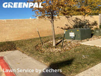Lawn Service nearby Leander, TX, 