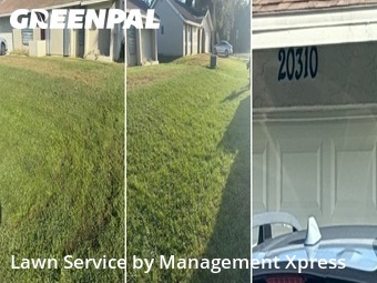 Grass Cutting nearby Port Charlotte, FL, 