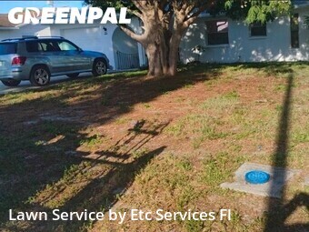 Grass Cutin Clearwater,33765,Grass Cutting by Etc Services Fl, work completed in Jun , 2026