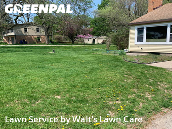 Lawn Mow nearby Grand Rapids, MI, 