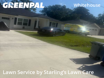 Grass Cut nearby Jacksonville, FL, 