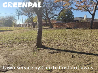 Landscaping In Lancaster,75134,Landscaping Cleanup by Calixto Custom Lawns, work completed in Dec , 2025