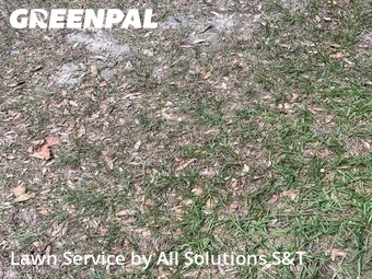 Lawn Mowing nearby Poinciana, FL, 