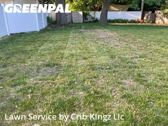 Lawn Mowing Service nearby Wauwatosa, WI, 