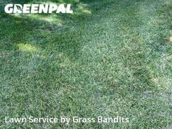 Lawn Cut nearby Billings, MT, 