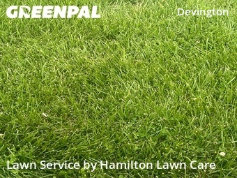 Lawn Cut nearby Indianapolis, IN, 
