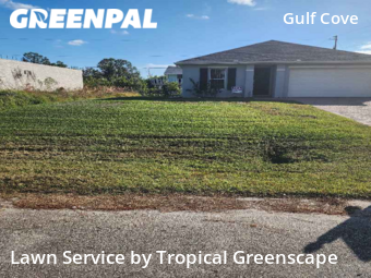 Lawn Cutting nearby Port Charlotte, FL, 