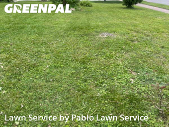 Lawn Service nearby Springfield, VA, 