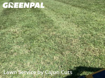 Lawn Mowing Service nearby Christiana, TN, 