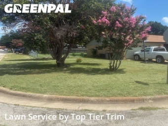 Lawn Carein Haltom City,76148,Lawn Mow by Top Tier Trim, work completed in Jun , 2026