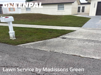 Lawn mowed in Royal Palm Beach, 33411