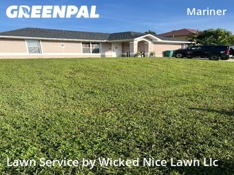 Lawn Cut nearby Cape Coral, FL, 